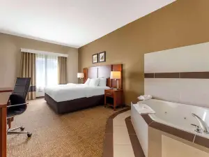 Comfort Inn & Suites Porter Near Indiana Dunes