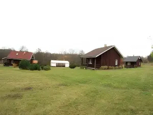 Antanelio Sapnas