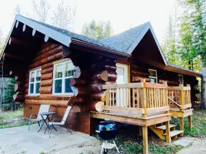 NEW CABIN W/LAKE VIEW! 2PersonJacuzzi.GasFireplace.Beach.Patio.Wifi.Kayaks.Canoe