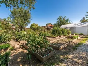 Villa Viara in Rural Pchelnik