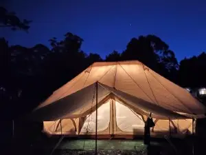Glamping at Zeehan Bush Camp