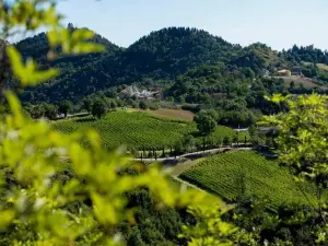 Tenuta Saiano Resort