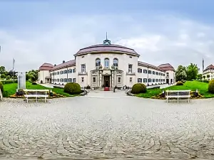 Hotel König Albert