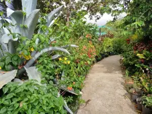 Papaya Inn