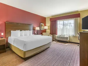 Best Western Plus Chandler Hotel  Suites