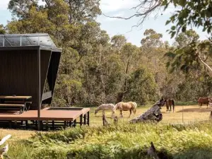 Sam the Tiny Cabin in Serpentine