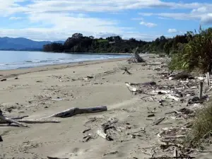 Parapara Beach Escape