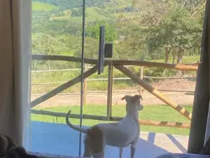 Chalés de Hórus