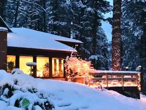 Unique Private Forest Home ~ 15 minutes from Downtown Missoula