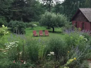 River Room overlooking the waterfall