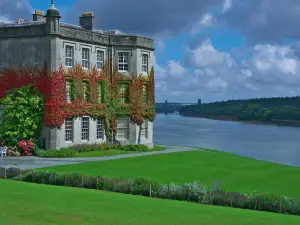 แคมป์ไซต์ - เดอะ ริง ผับ กลามปิง พ็อดส์