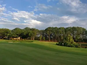 BURGUNDY BREEZE - The Studio With A View
