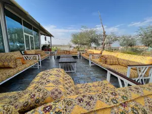 Desert Hut