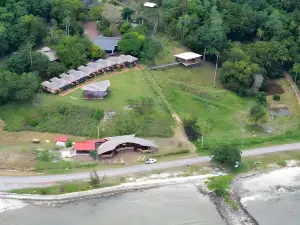 9 Huts on a Hill