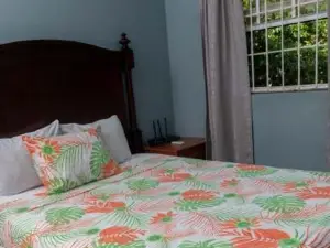 Bougainvillea Apartments