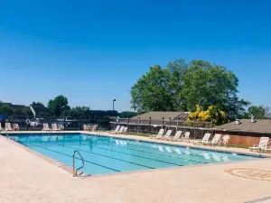 Condo at Bernards Southern Retreat 1Br sleeps 4
