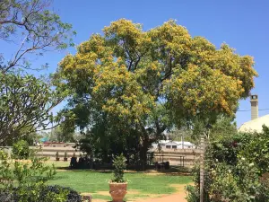 Club Boutique Hotel Cunnamulla