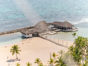 Spacious Apto with Spectacular Views of the Beach