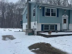 Dog lover’s retreat with acres to roam, farm animals, and plenty to explore!