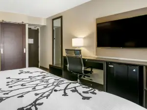Sleep Inn Allentown-Fogelsville