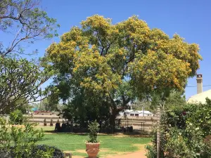 Club Boutique Hotel Cunnamulla