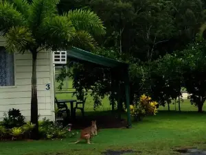 Flying Fish Point Tourist Park