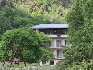 Pansionat Radde Hotel