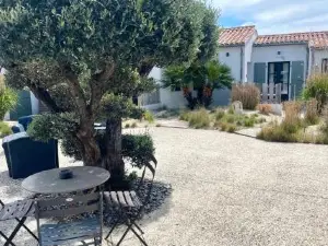 Fleur de Ré