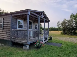 Cozy year round cabin near Acadia and ATV trails, and pet friendly!