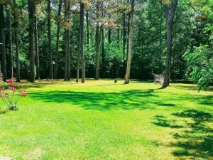 Spring Haven! Perfect Spot on Lake for Fishing! Spacious Home; Eagles Near!