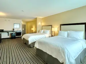 Holiday Inn Express & Suites Batavia - Darien Lake