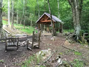 Creekside Cabin, Willis, VA