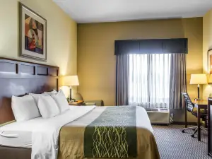 Comfort Inn and Suites