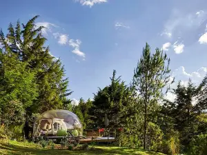 BubbleSky Glamping