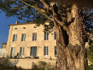 Le Dojo du Plessis