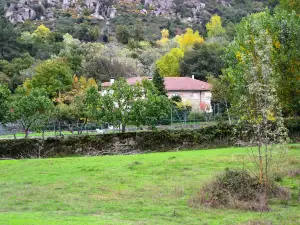 Quinta da Mata - Turismo de Habitação