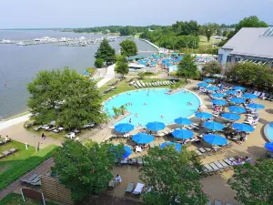 Walk to Dtwn: Waterfront Eastern Shore Townhome!