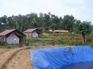 Country Paradise Resort