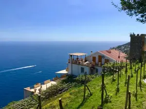 Tenuta la Picola