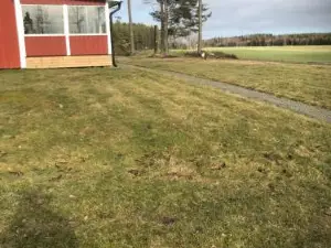 Värmlandsnäs Valdersrud Stenröse