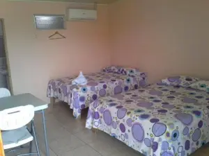 Hotel Brisas Del Volcán Platanar