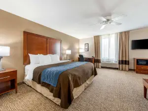 Comfort Inn Anderson South