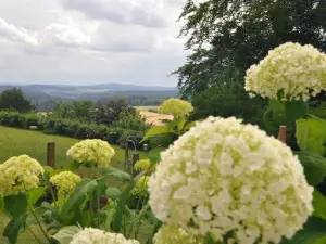 Geräumige 2-Z Wohnung im GRÜNEN, Garten, Terrasse, Ruhig, Natur, Phantastischer Blick!