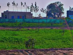 oshiana farm