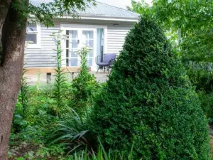 The Alchemist Retreat, Private Studio in Carterton