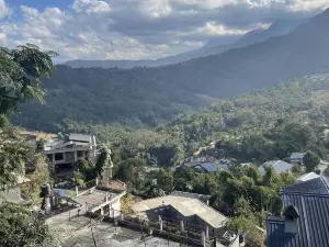 The Meraki Home