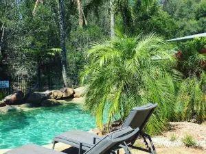 Romantic Cabin Escapes Barrington Tops - Lorikeet
