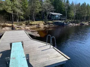 Sävsjön