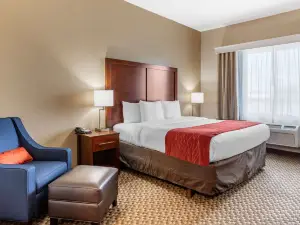 Comfort Inn & Suites Navasota