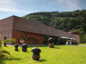 Balneario Elgorriaga